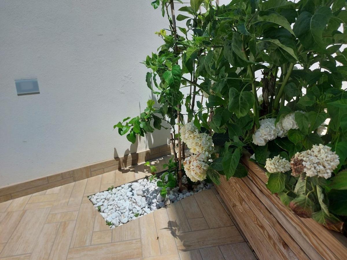 فندق Civico 72 مارتانو المظهر الخارجي الصورة